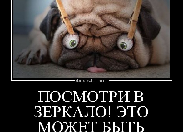—Посмотри на себя в зеркало — кто тебя полюбит? — усмехнулся бывший. Через год он увидел её в зеркале чужой машины — и не смог отвести глаз