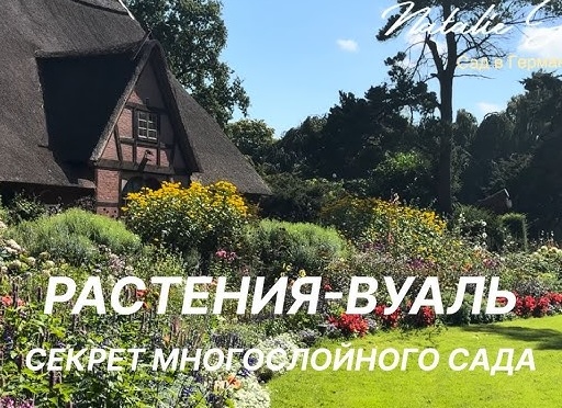 «Вербена, тайны и идеальный газон: что на самом деле говорили нам «Отчаянные домохозяйки»»